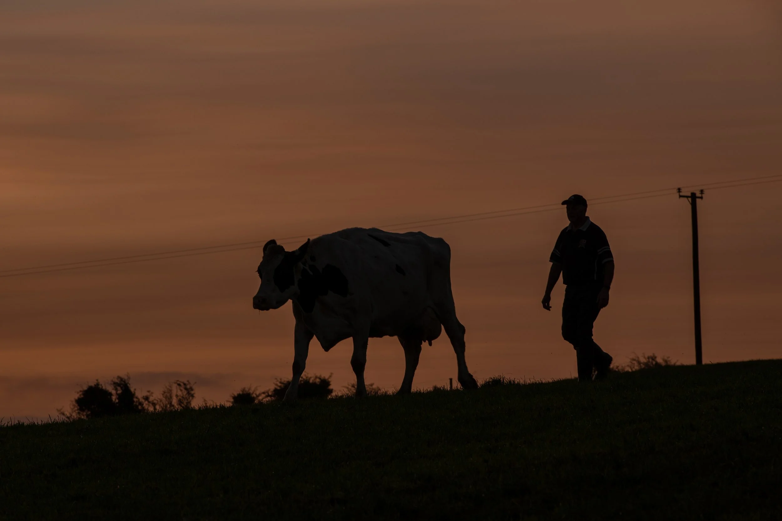 QMA23_Dullea_Co Cork_89.jpg