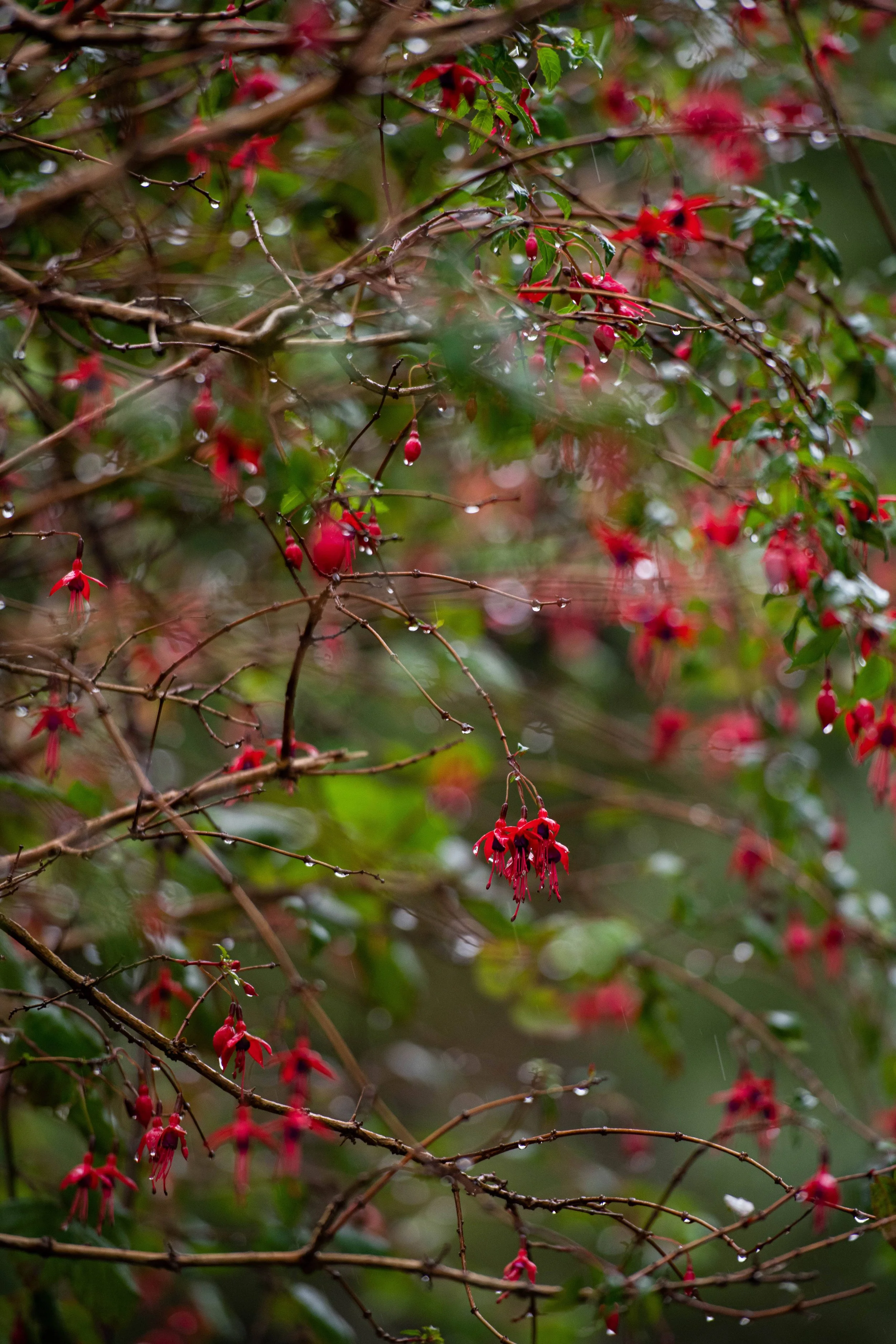 QMA23_Kingston_Co Cork_169.jpg