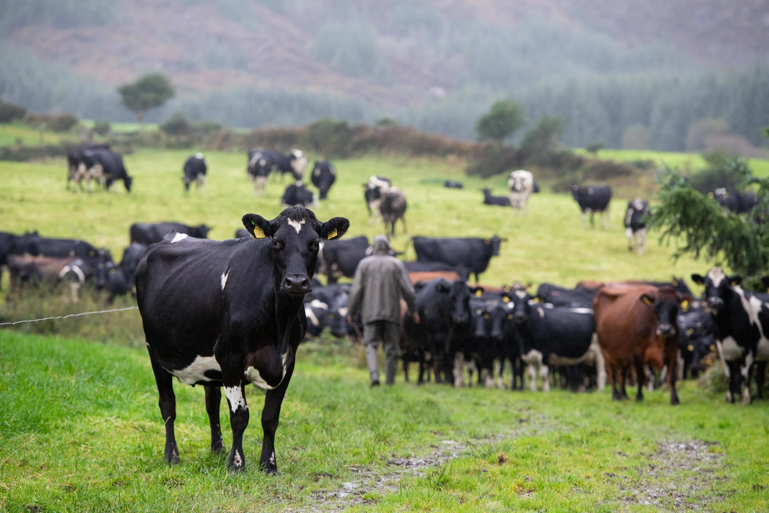 QMA23_Kingston_Co Cork_142.jpg