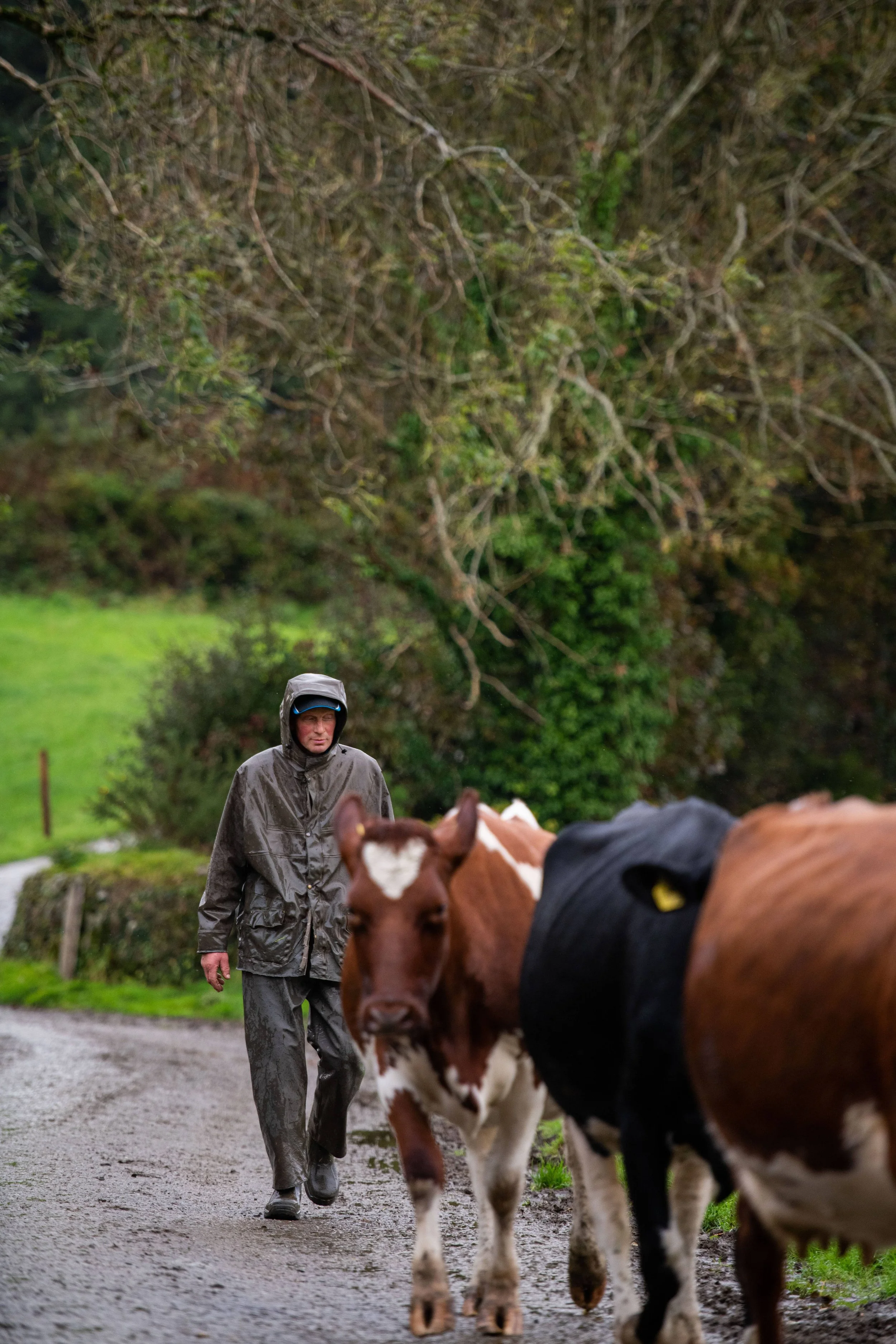 QMA23_Kingston_Co Cork_172.jpg