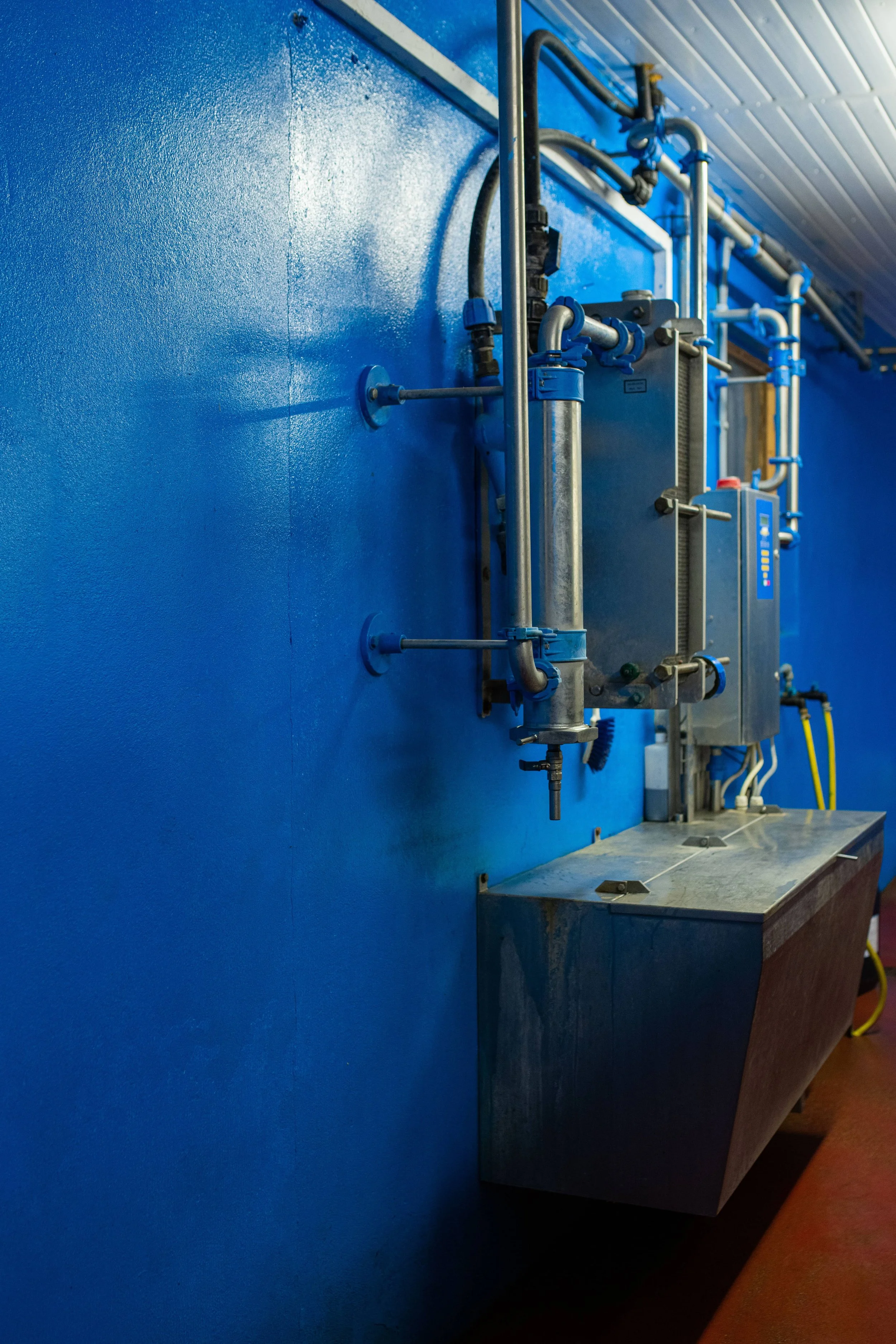 QMA23_MacNamara_Co Limerick_4.jpg