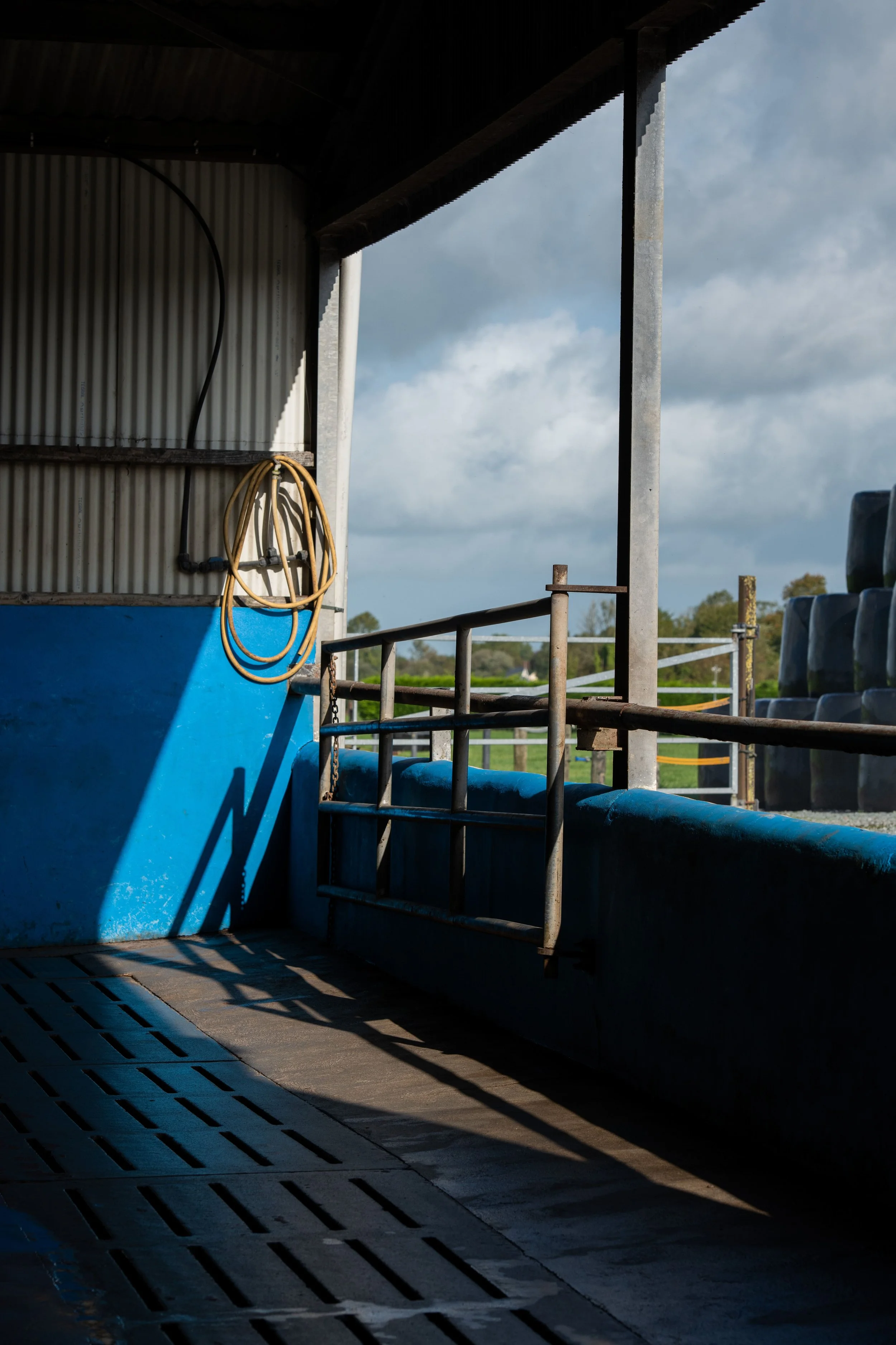 QMA23_MacNamara_Co Limerick_208-min.jpg