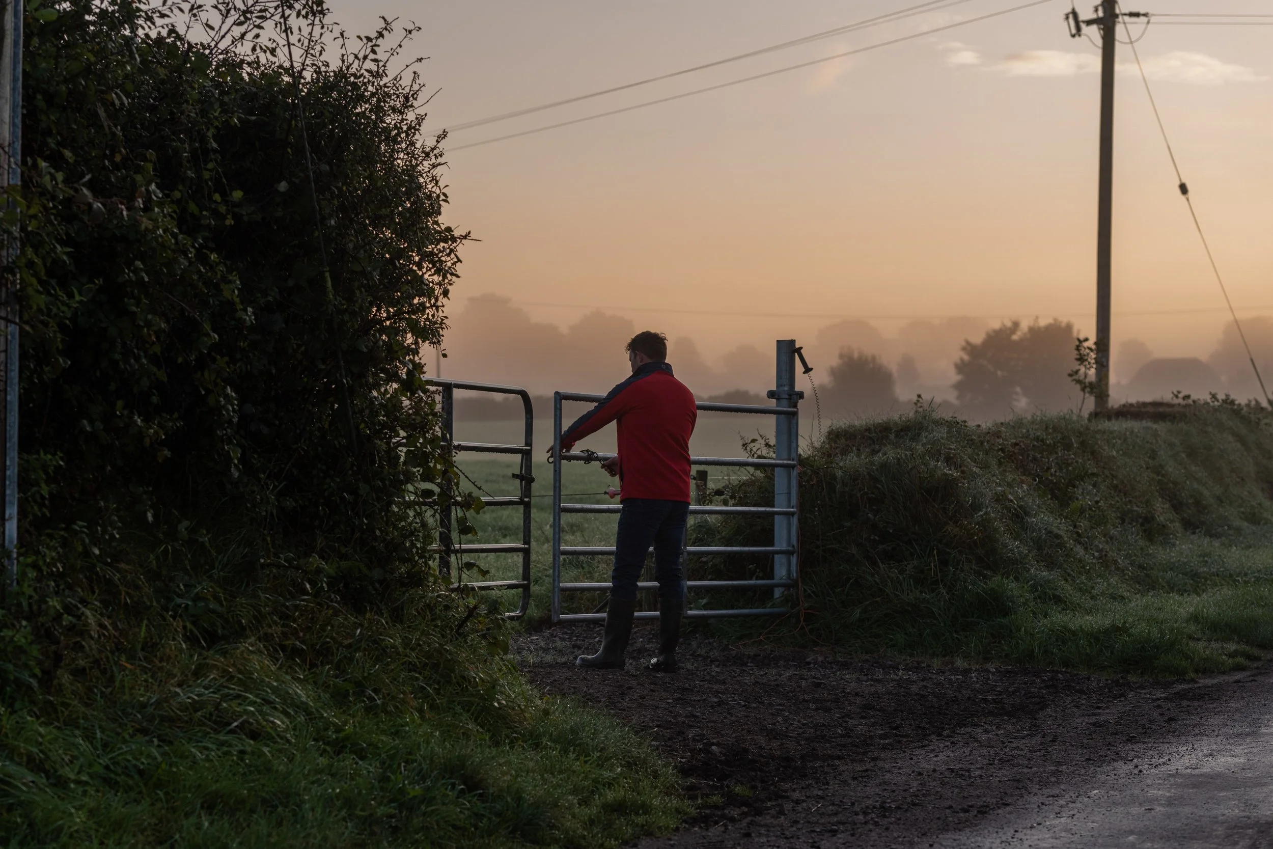 QMA23_OLeary_Co Cork_94.jpg