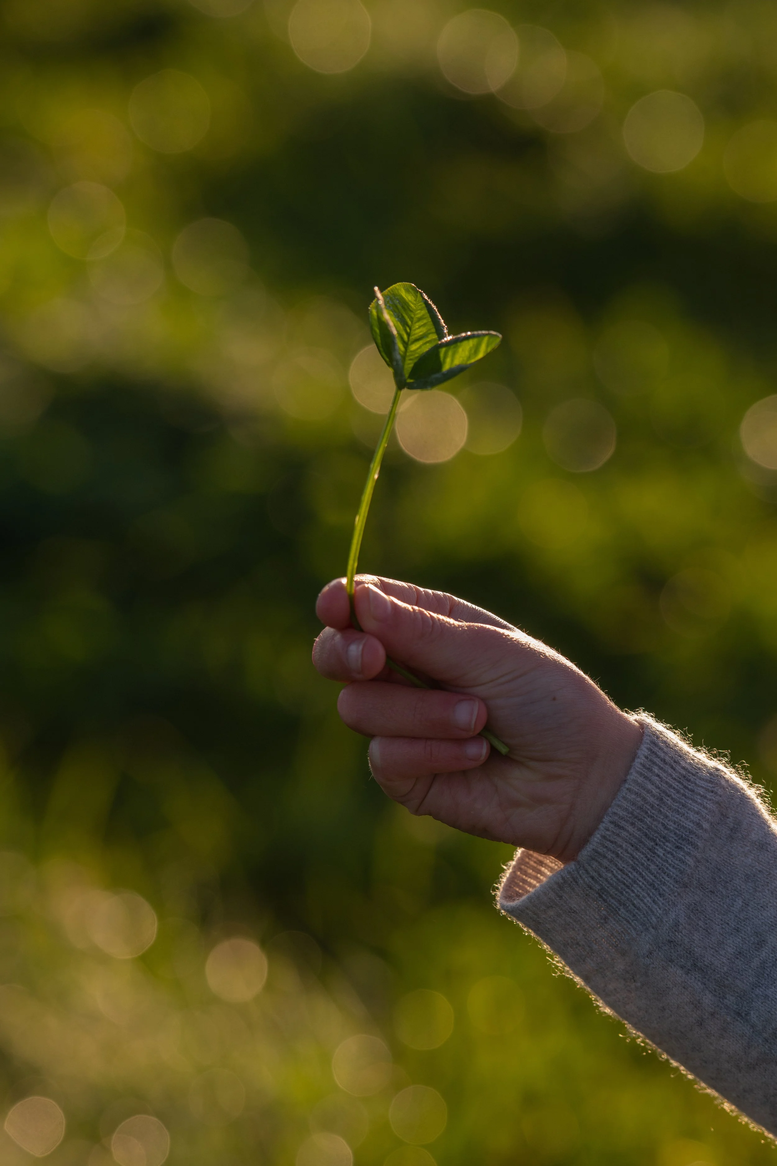 QMA23_OLeary_Co Cork_136.jpg