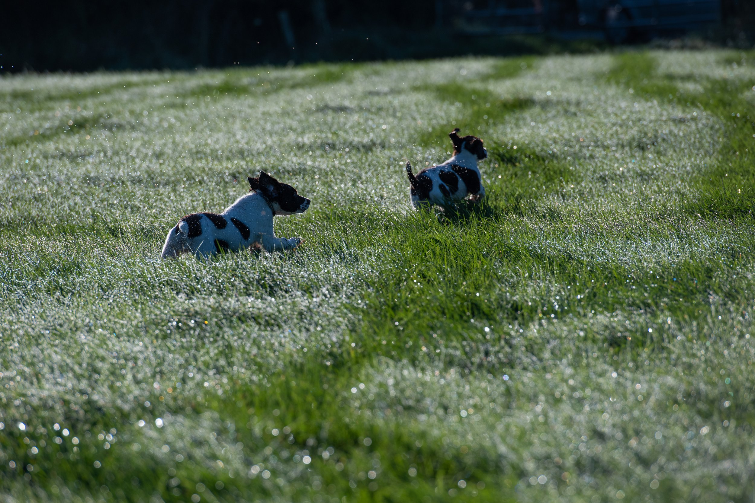 QMA23_OLeary_Co Cork_187.jpg