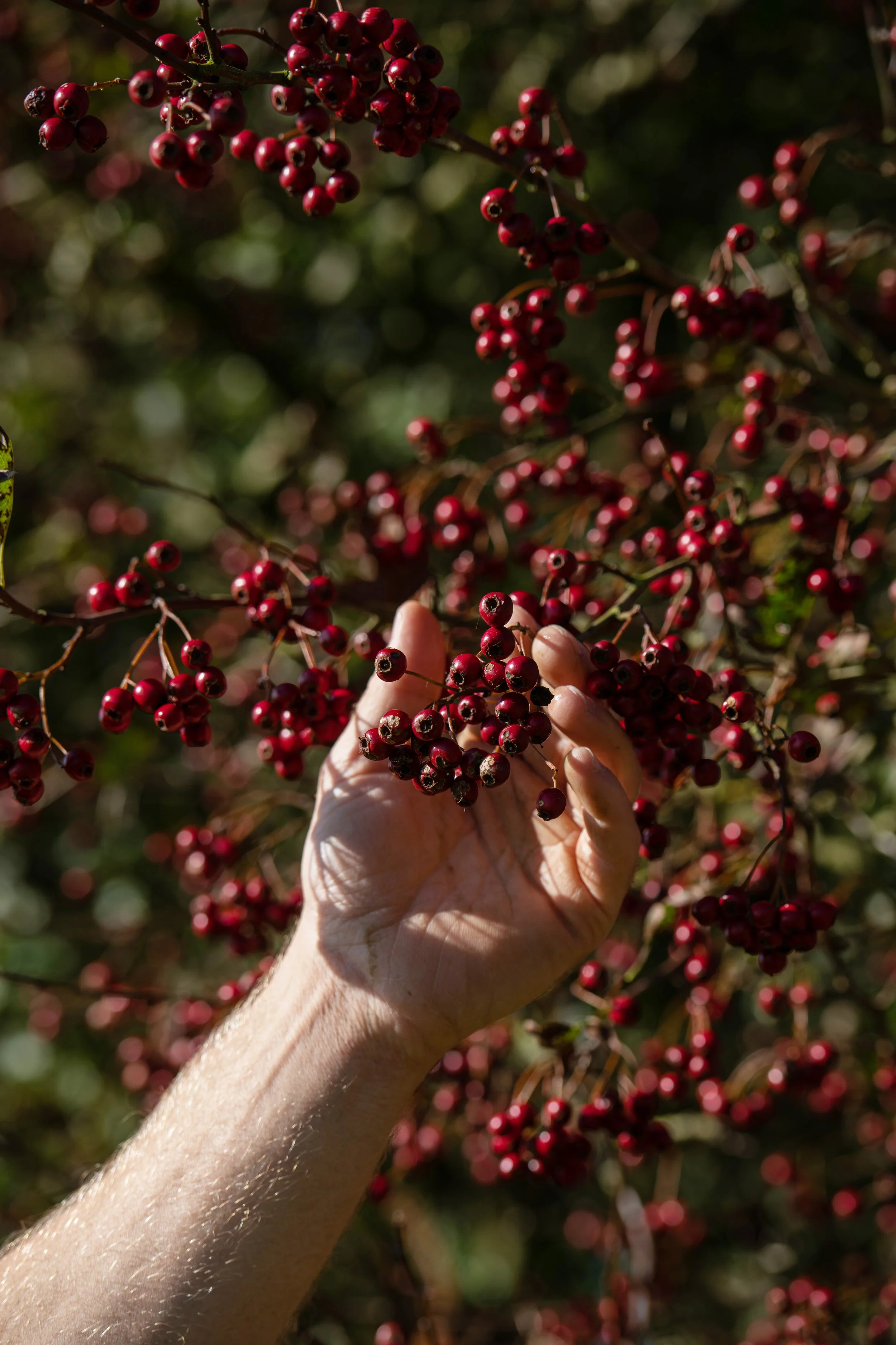 QMA23_OLeary_Co Cork_233.jpg