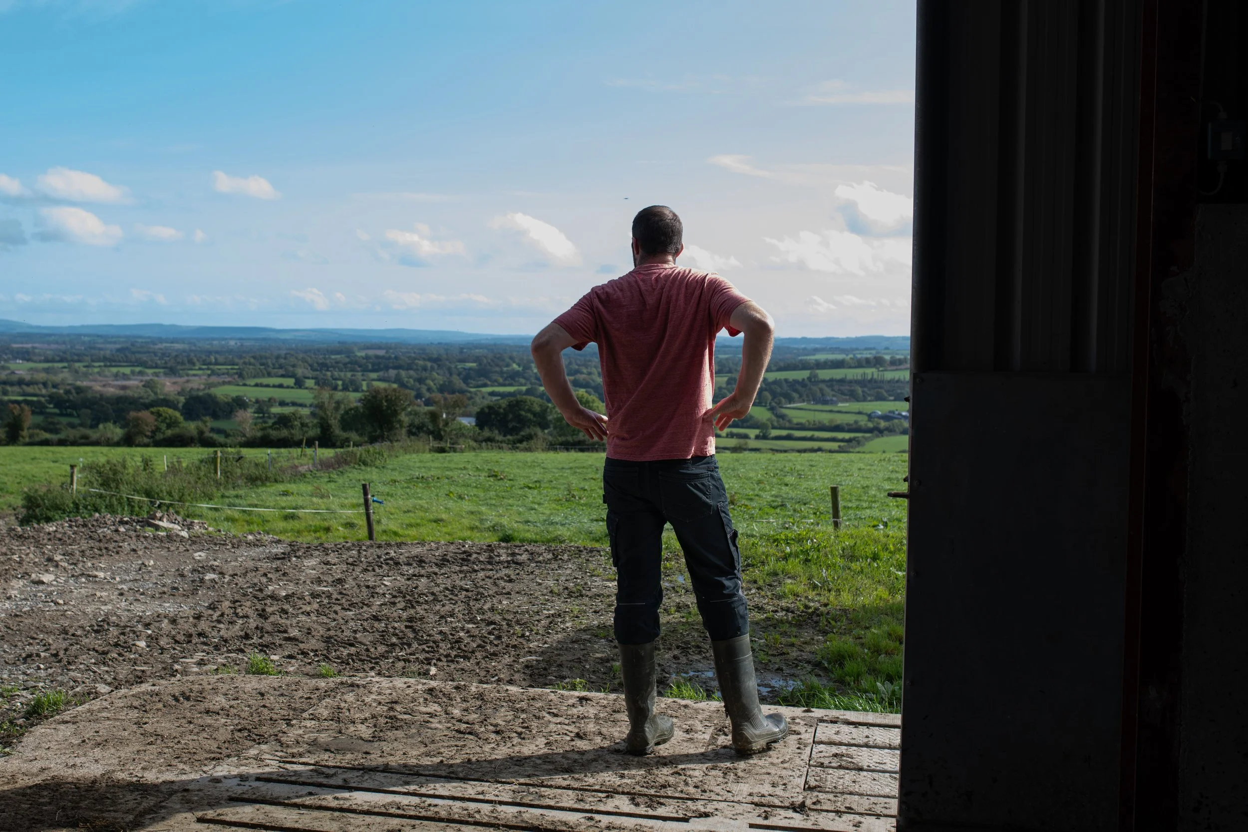 QMA23_ORiordan Co Cork_2-min.jpg