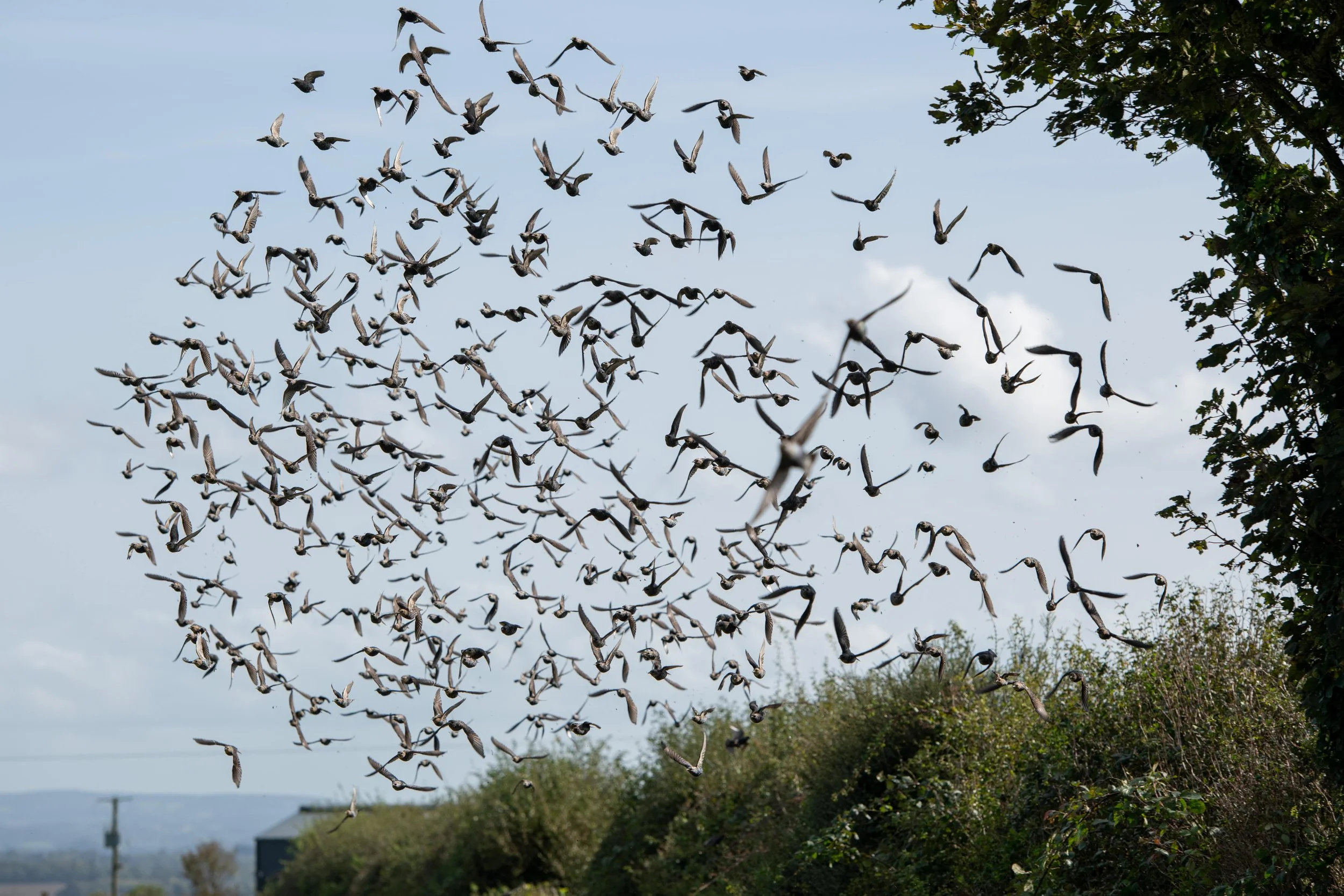 QMA23_ORiordan Co Cork_123-min.jpg