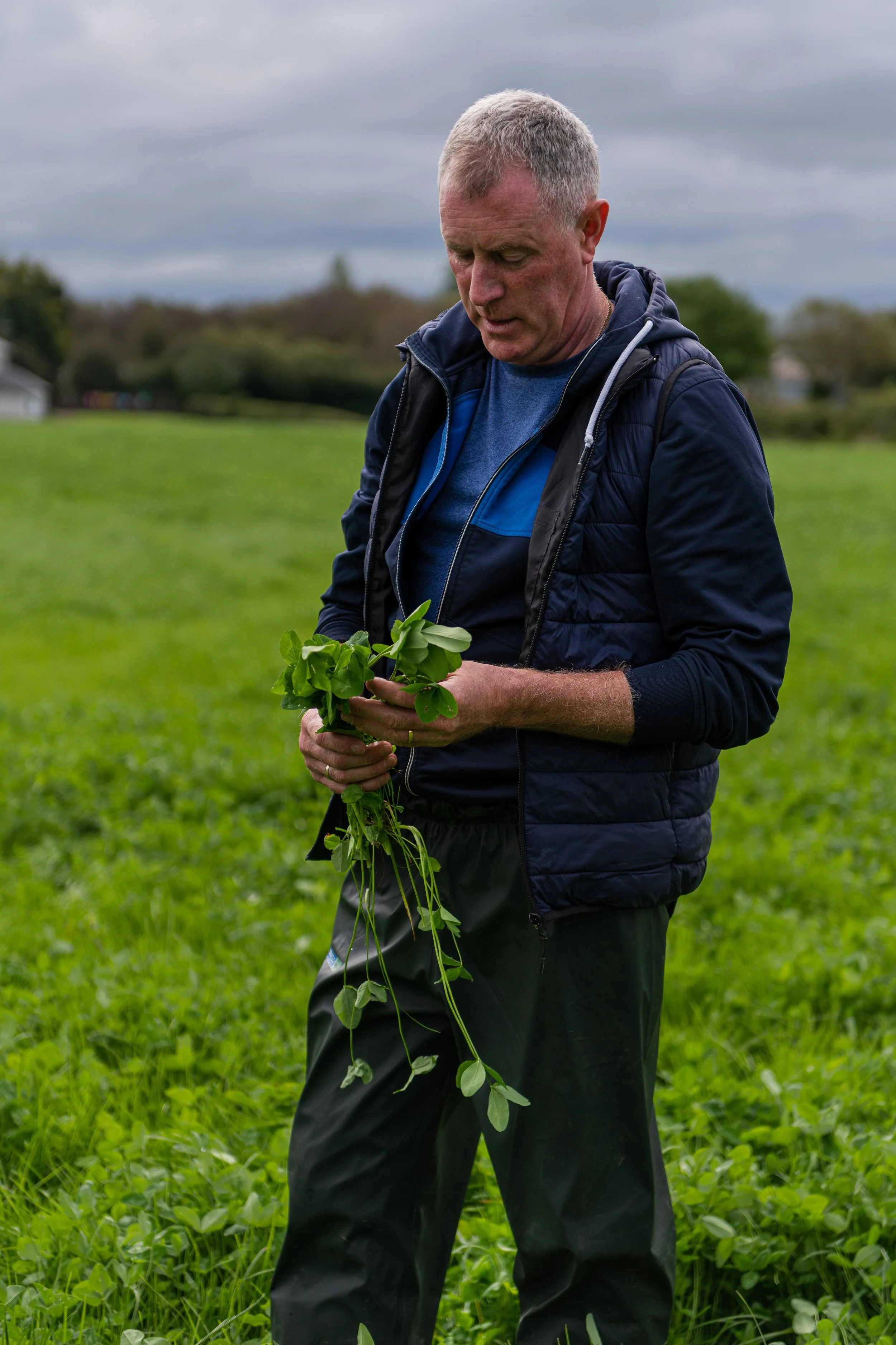 ‘Dairy farming is not just a job, it’s your identity’
