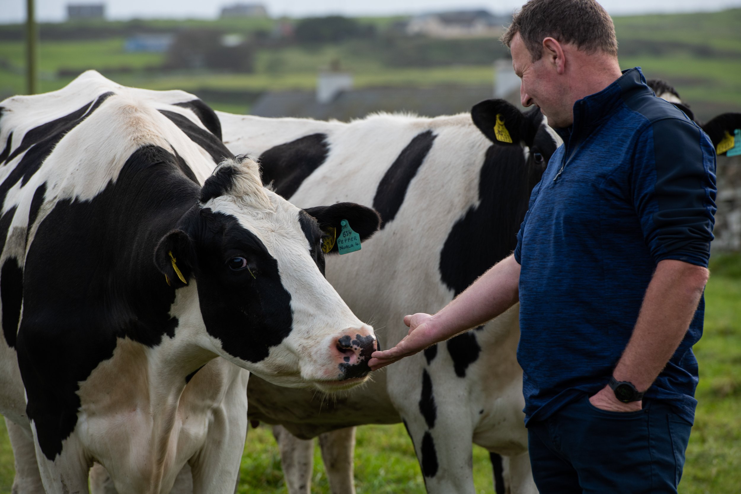 QMA23_Coleman_Co Cork_109.jpg