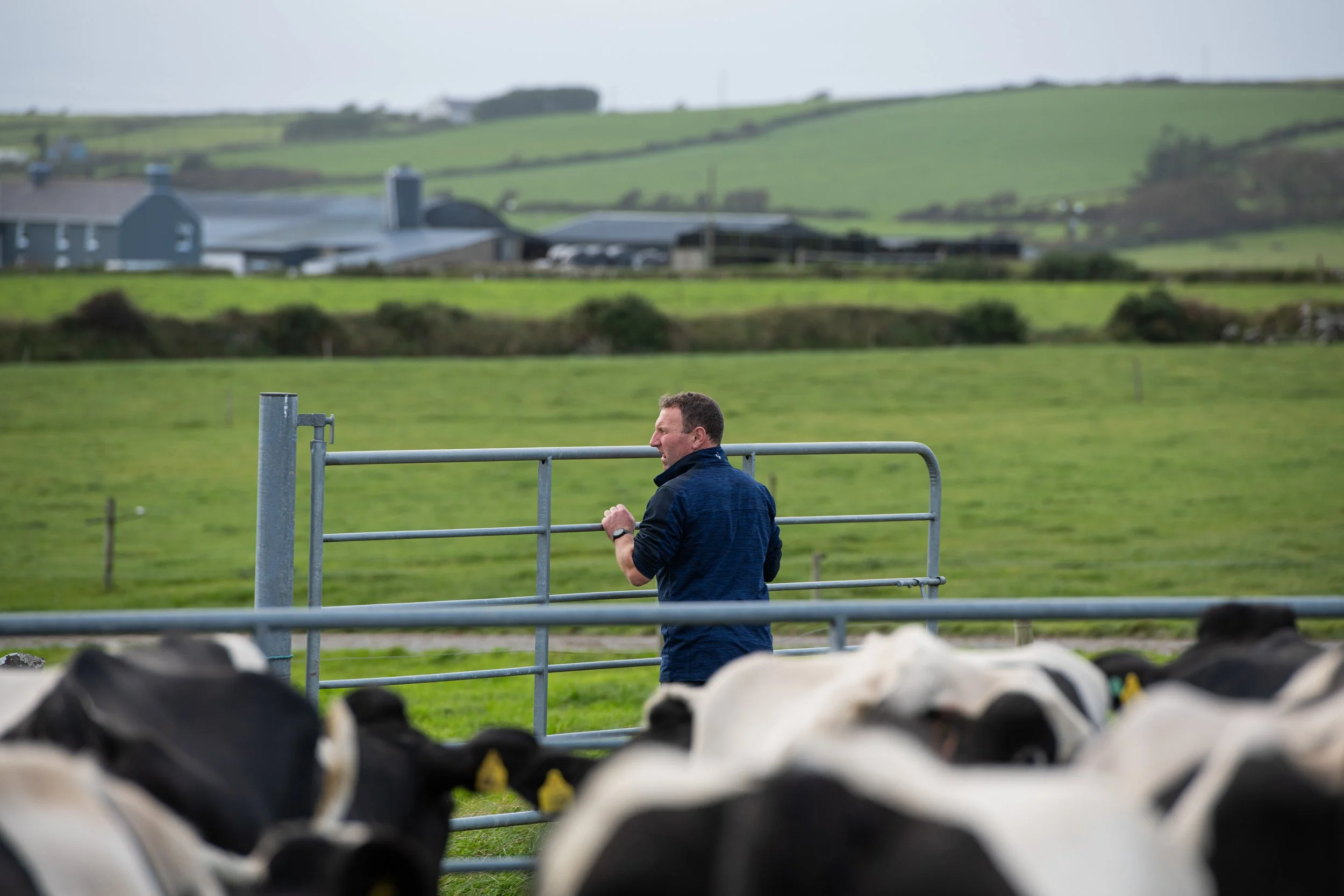 QMA23_Coleman_Co Cork_111.jpg