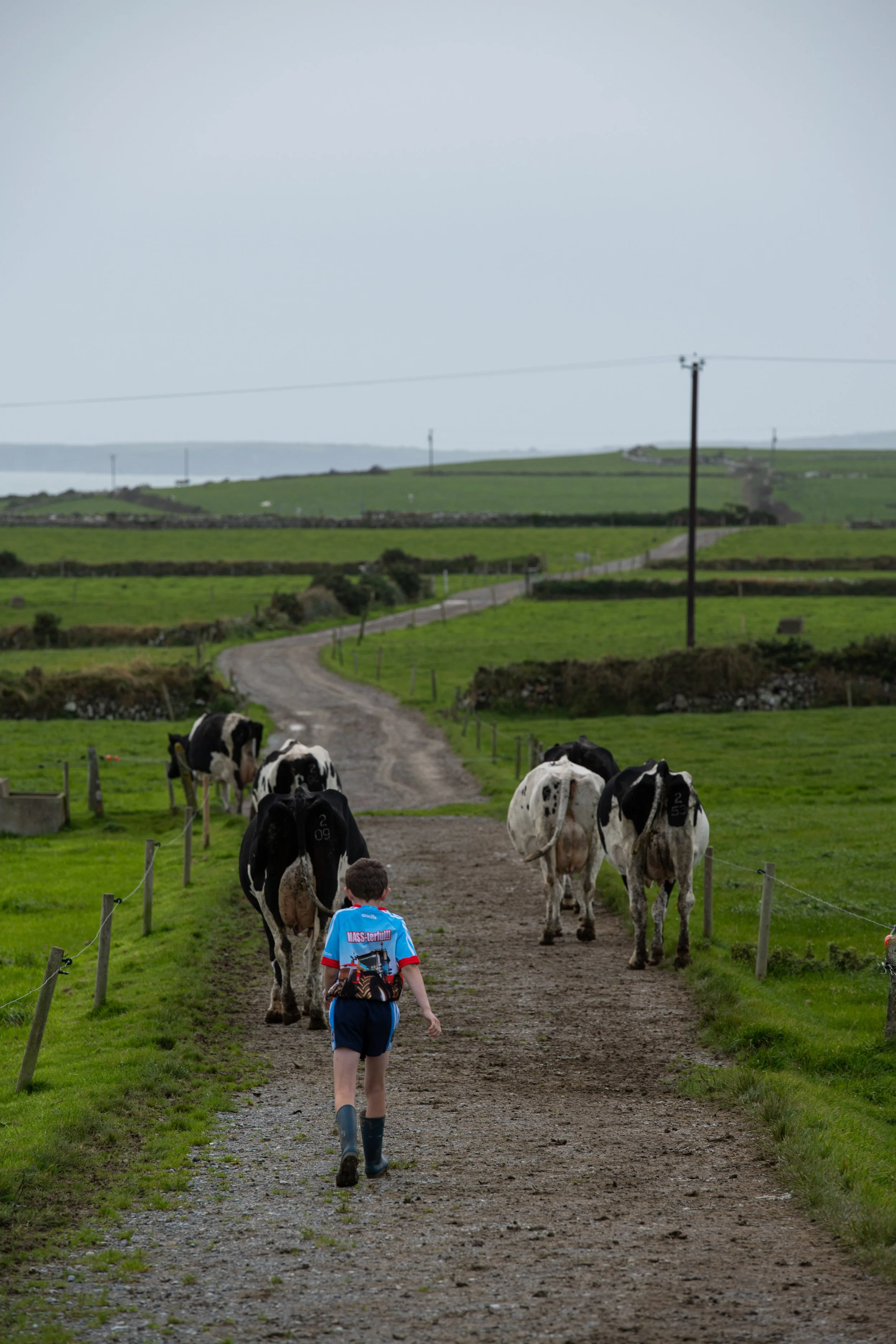 QMA23_Coleman_Co Cork_122.jpg