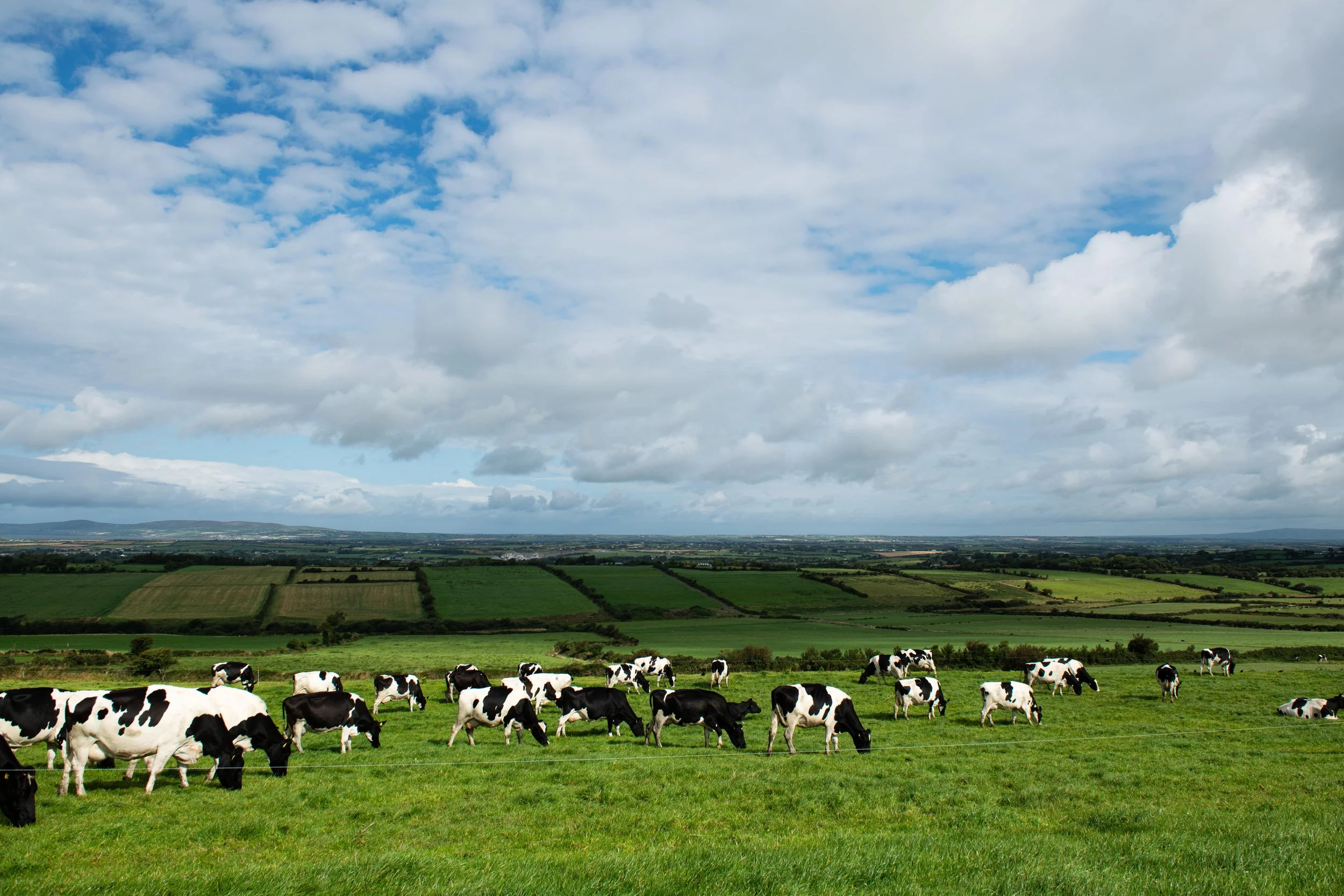 03 Dillane_Co Kerry_8-min.jpg