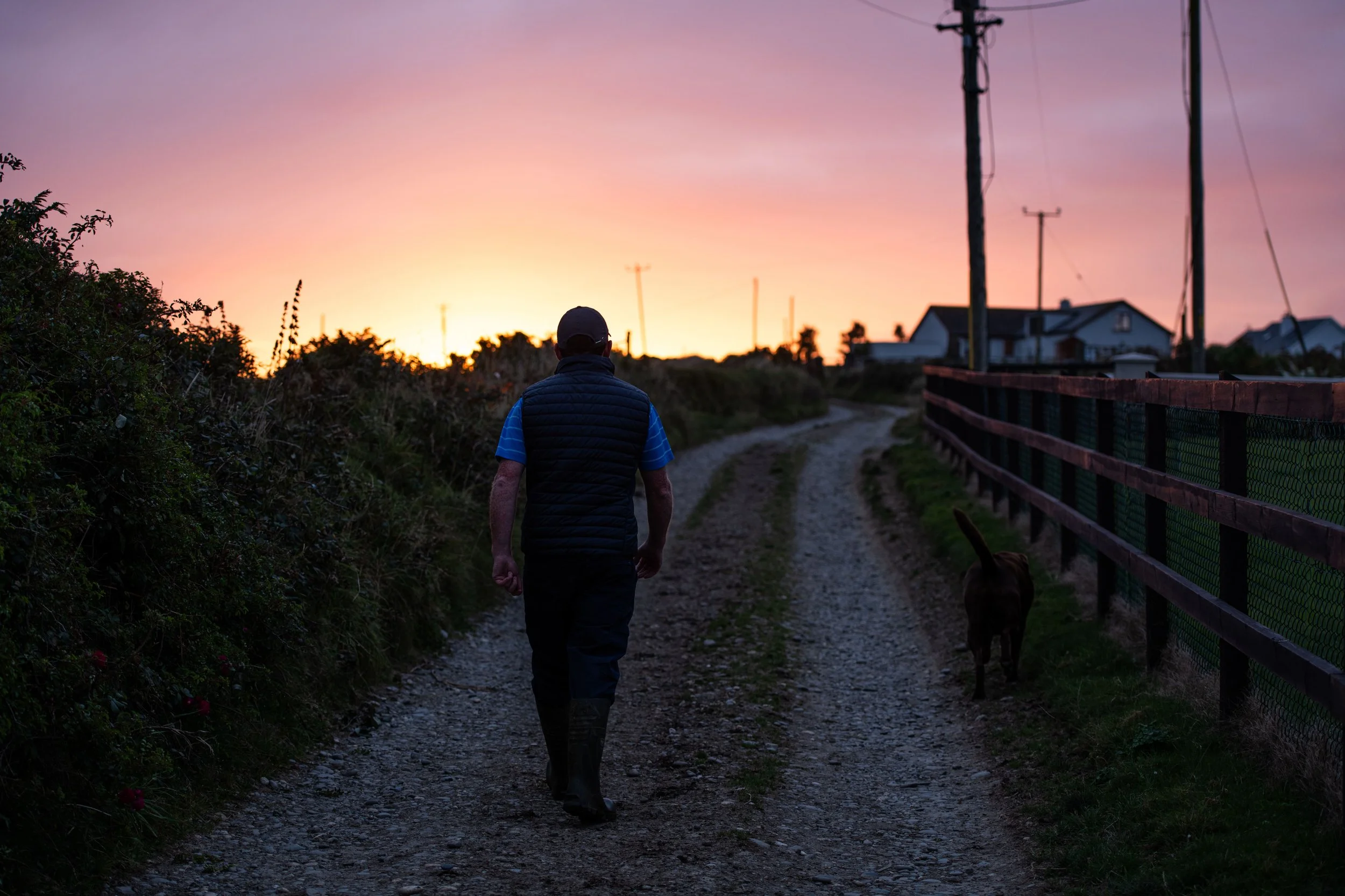 09 Hayes_Co Cork_41-min.jpg