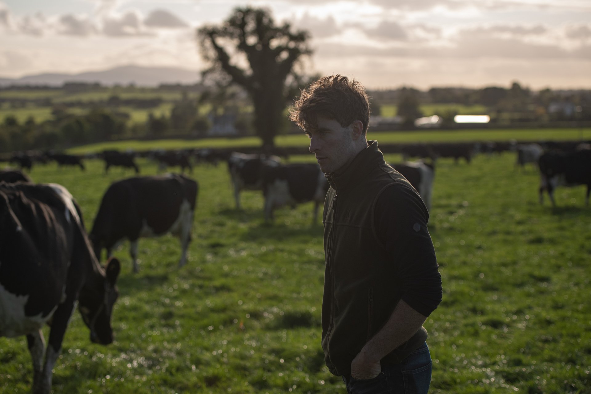 QMA23_Bergin_Co Tipperary_194.jpg