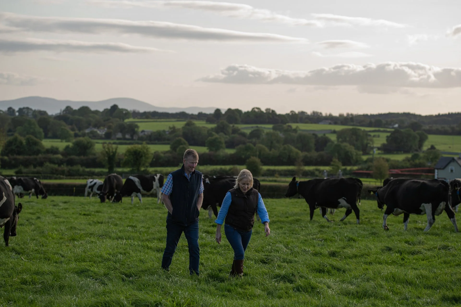 QMA23_Bergin_Co Tipperary_184.jpg