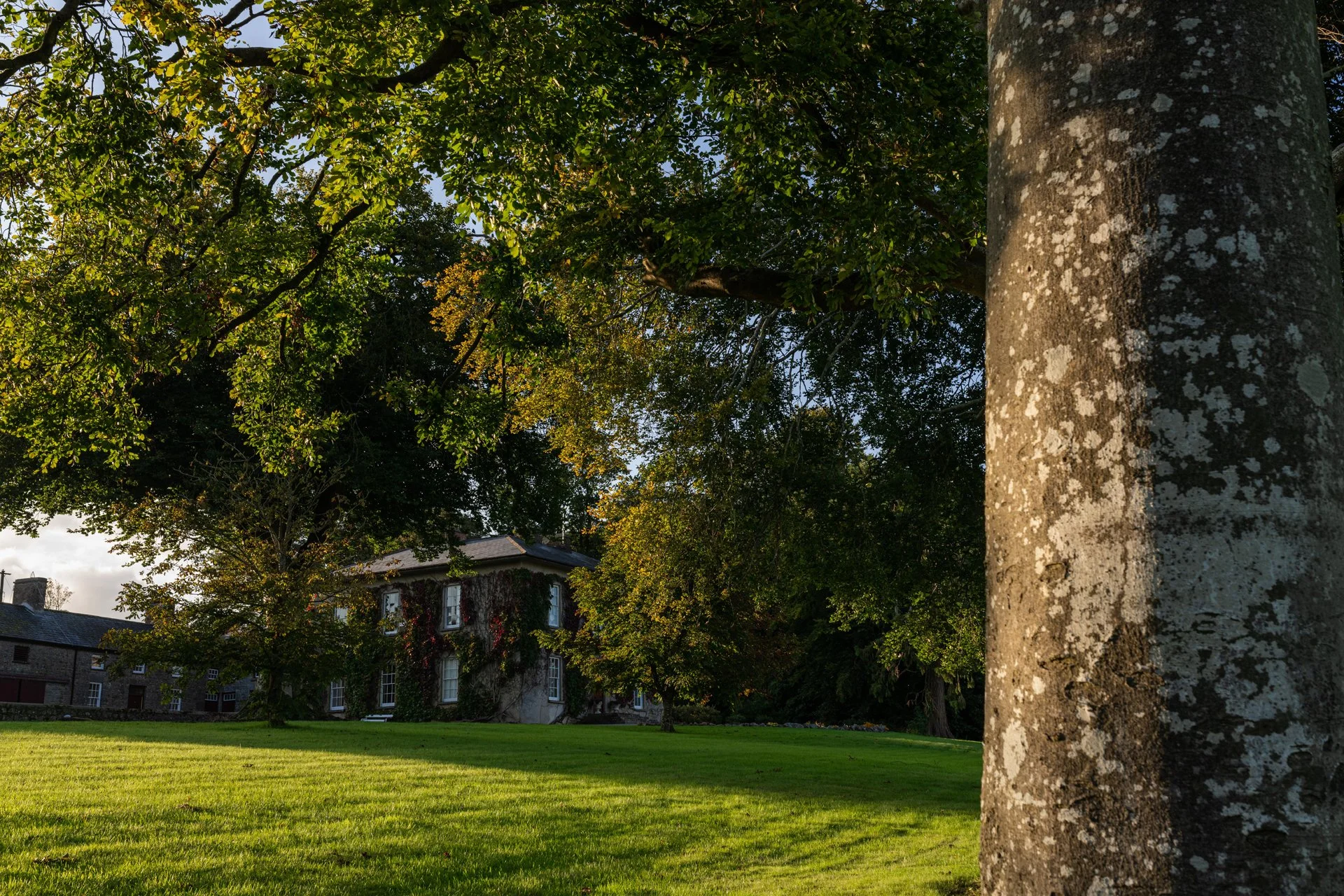 QMA23_Bergin_Co Tipperary_52.jpg