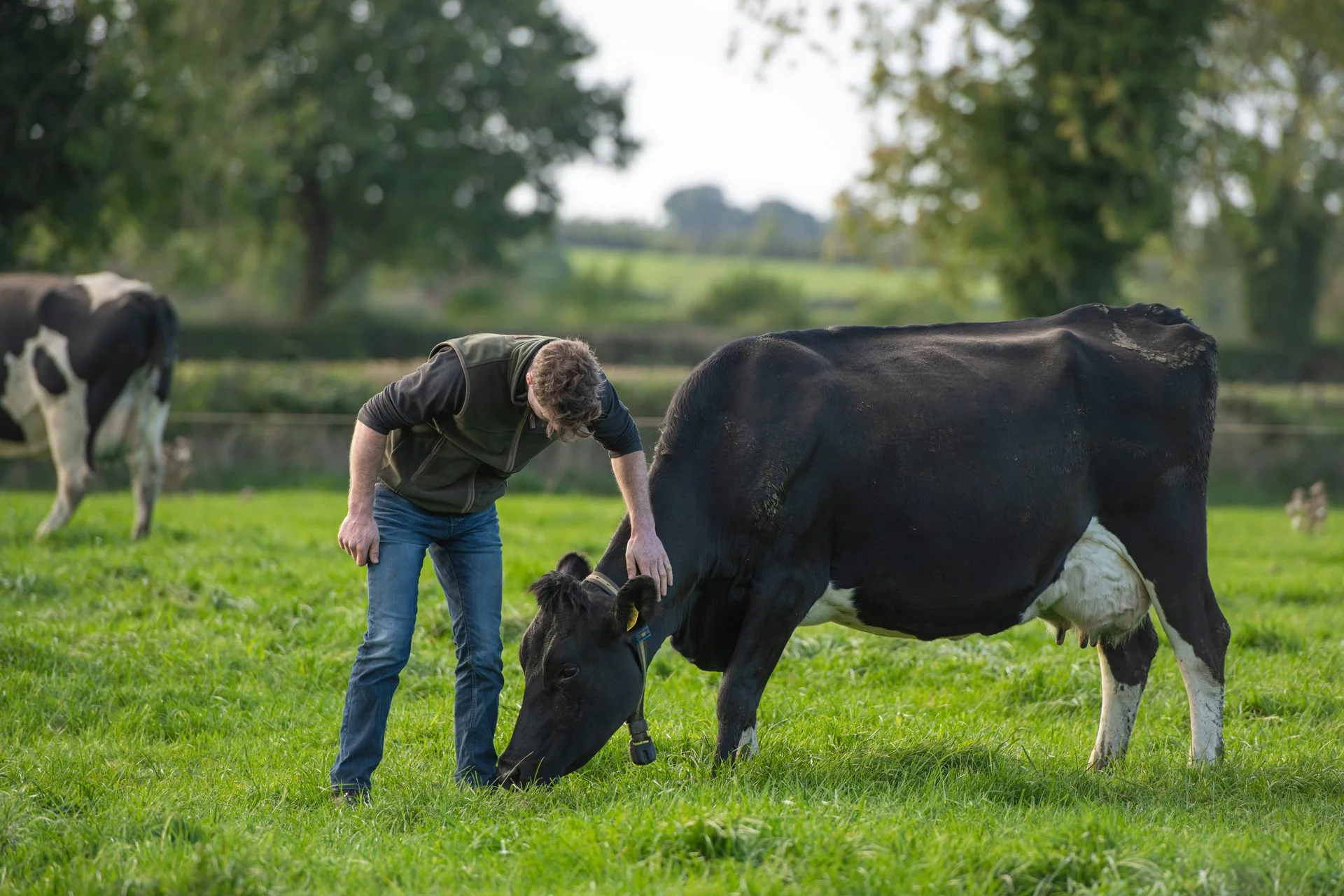 QMA23_Bergin_Co Tipperary_189.jpg