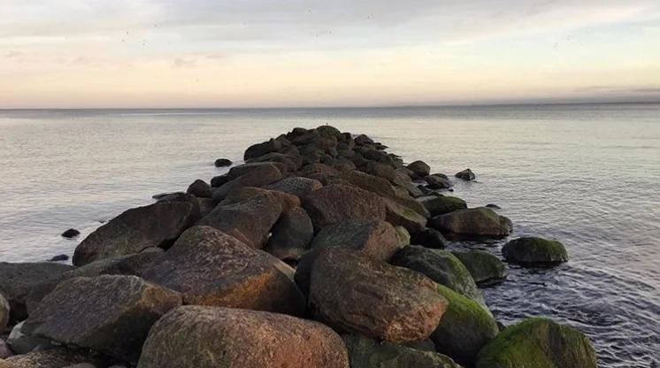 Datei 29.08.16, 16 05 09.jpeg