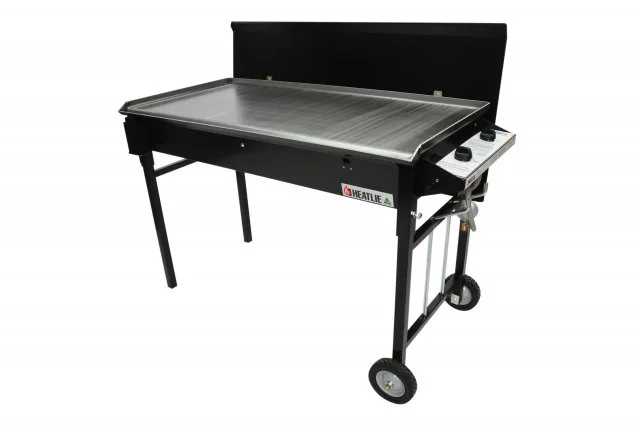 phoca_thumb_l_bbqs_20110126_1875246873.jpg