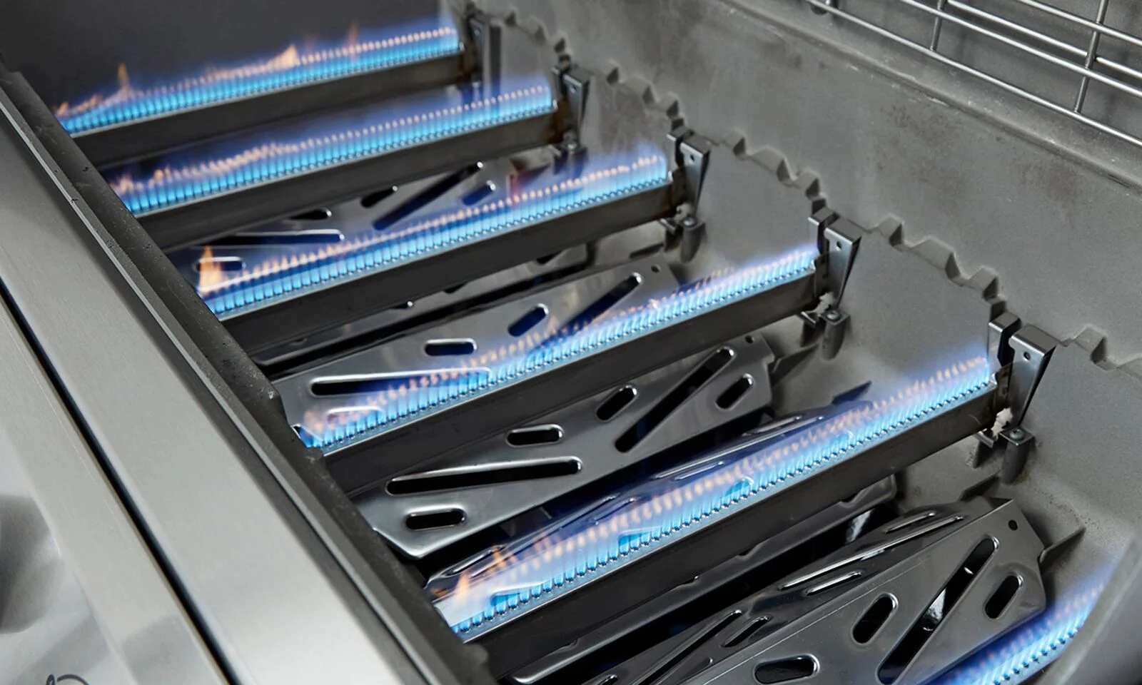 Genesis_II_LX_E340_Burner Tubes.jpg