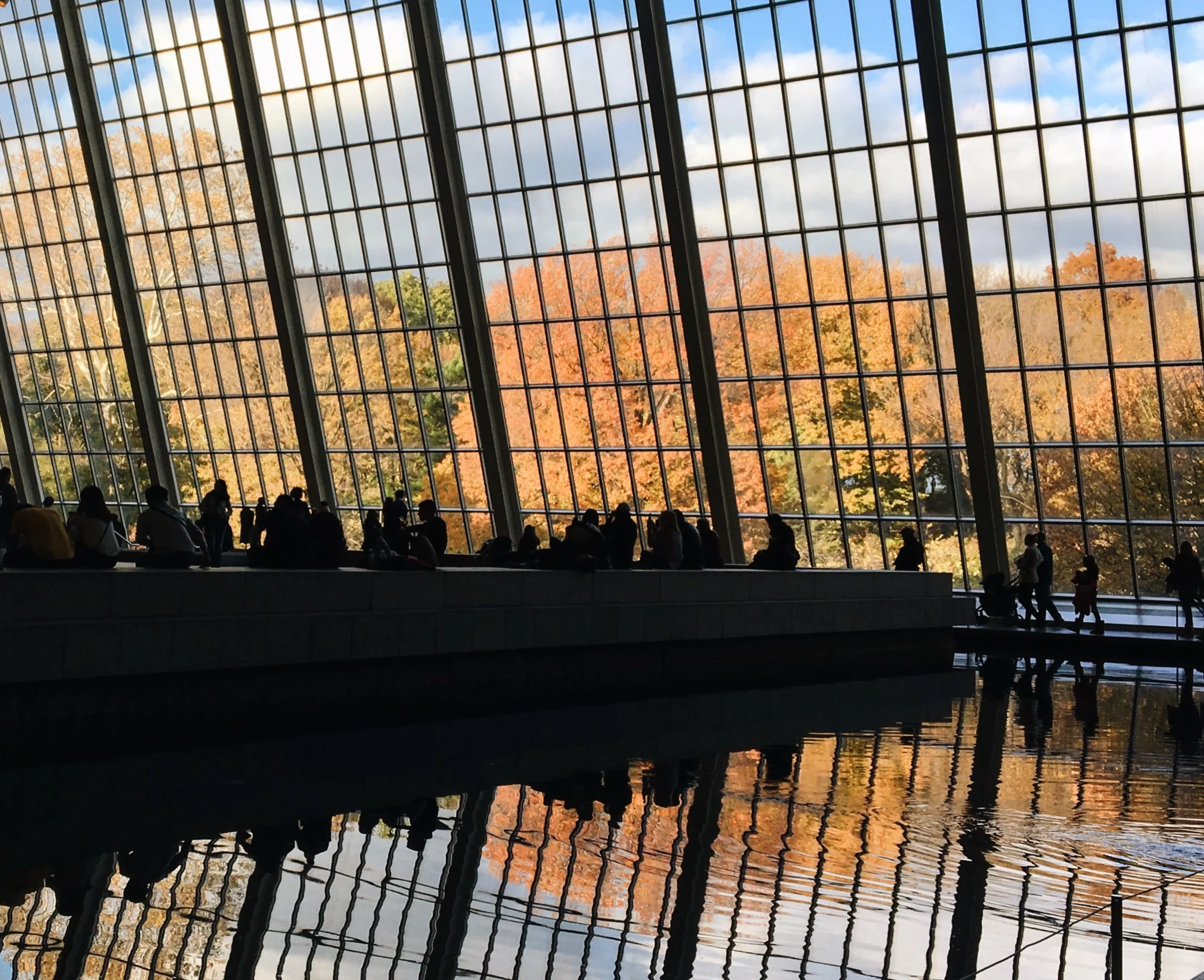 2017-11-19 14.16.26-4.jpg