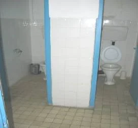 Picture8.jpg