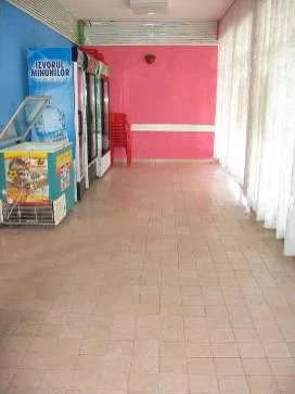 Picture10.jpg