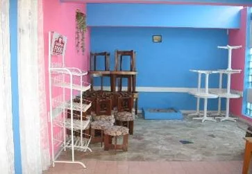 Picture11.jpg