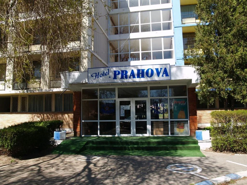 10711846.jpg