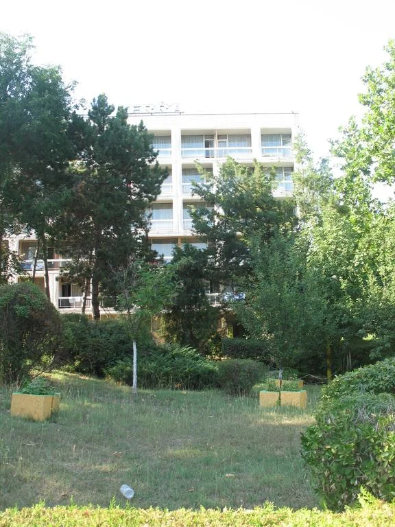 10606517.jpg