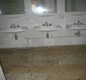Picture10.jpg