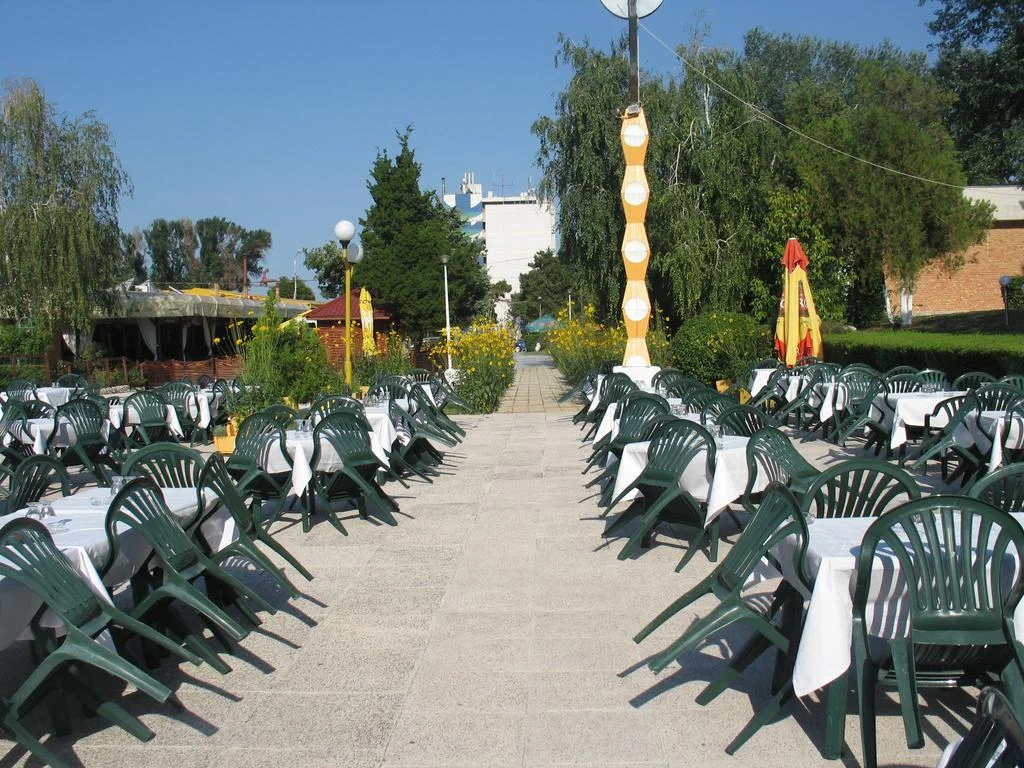 10606477.jpg