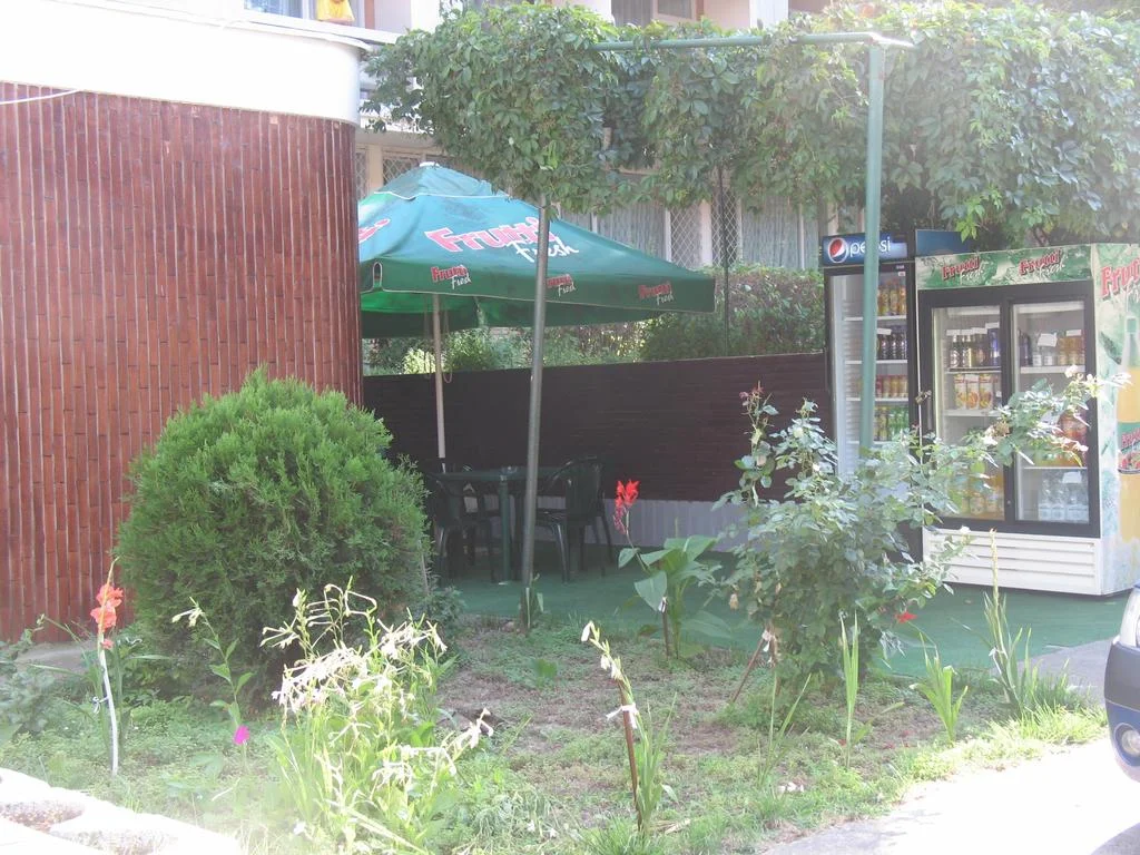 balea curte.jpg