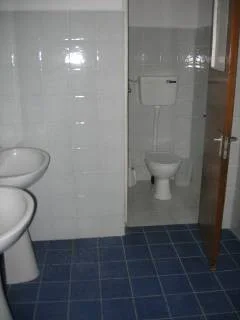Picture7.jpg
