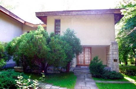 Mesteacanul3.jpg