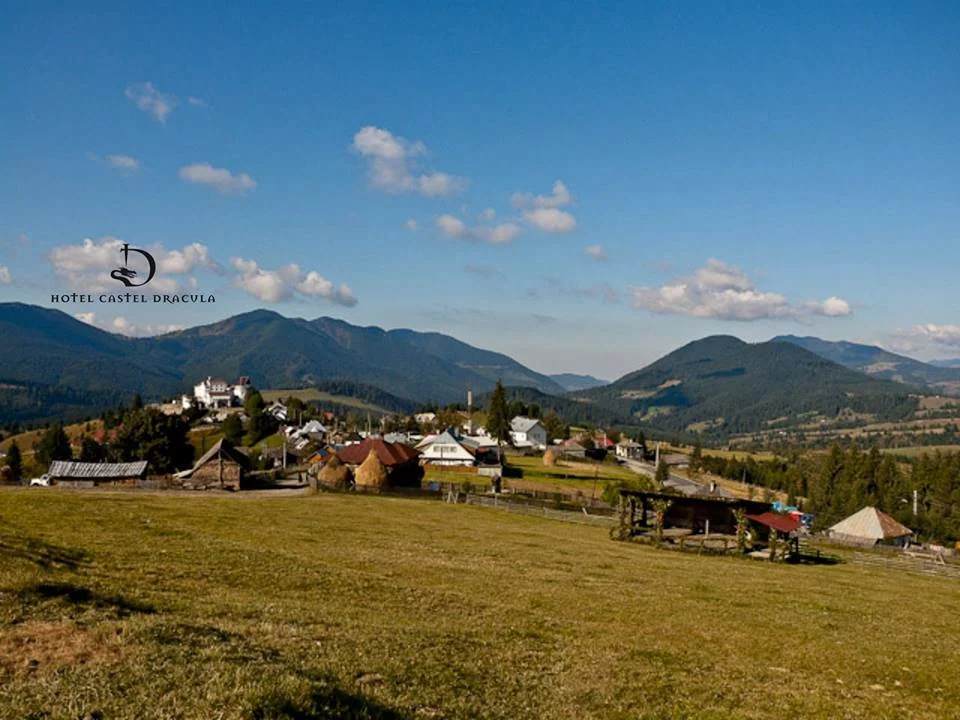 landscape.jpg