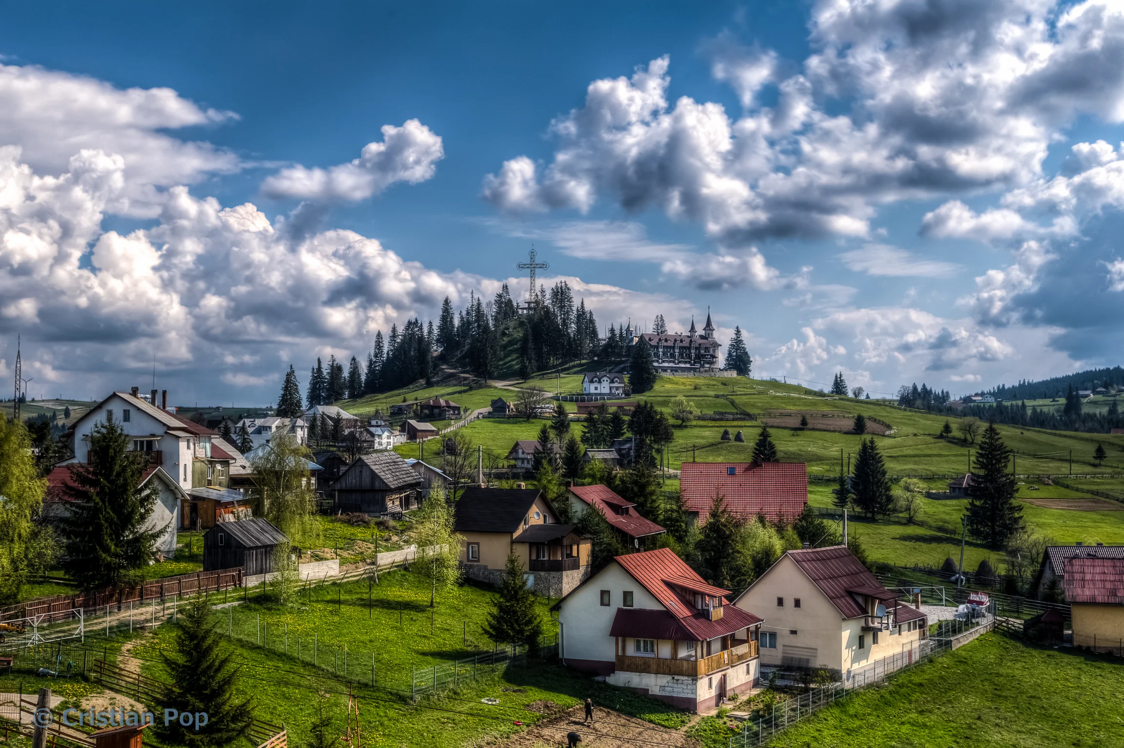 landscape 4.jpg