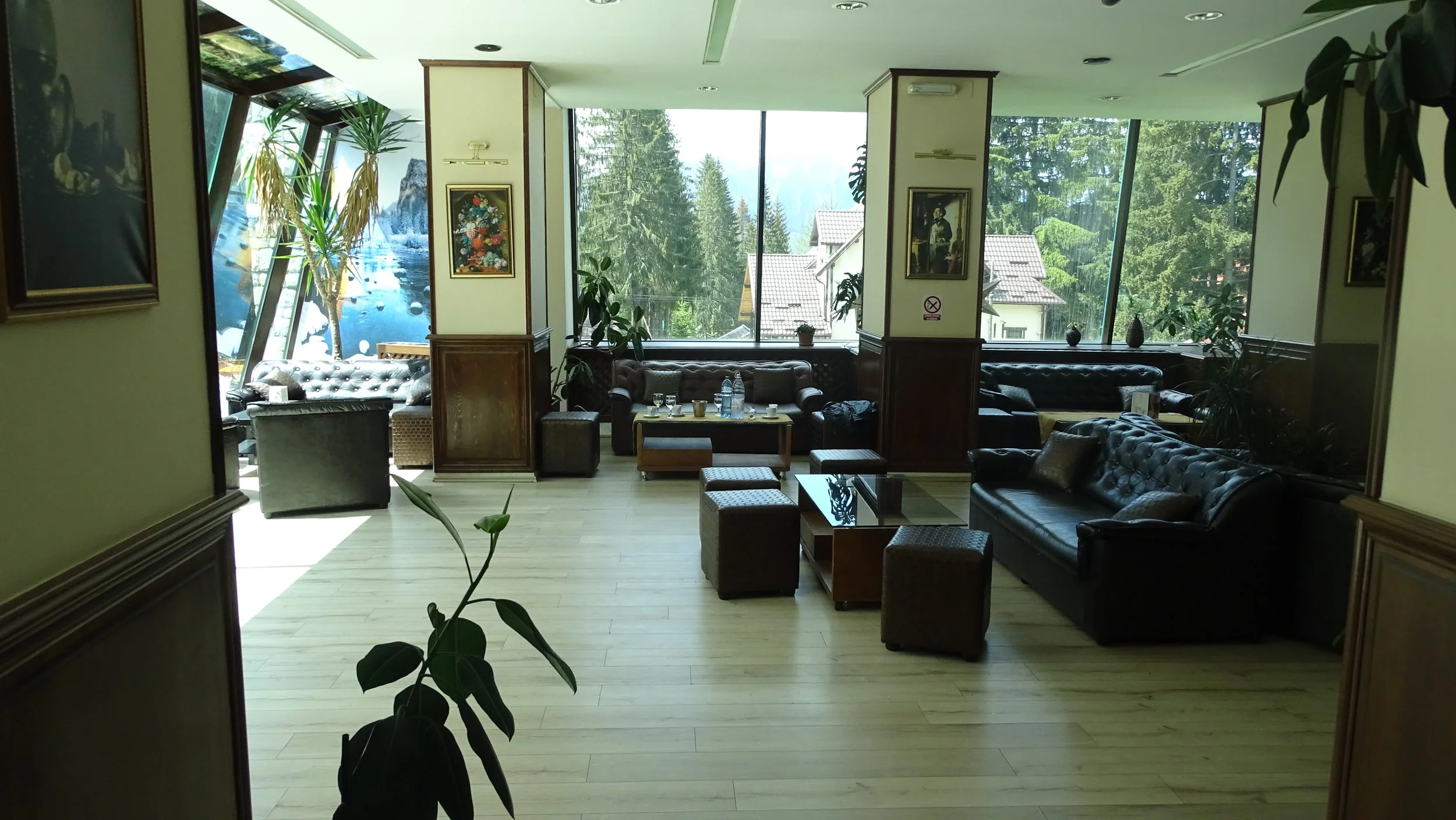 DSC08115.JPG
