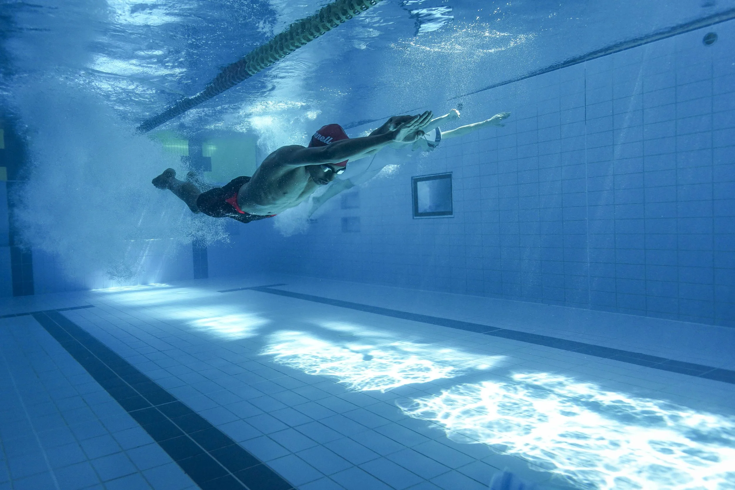 2025_March_SWIMNZ_Harlequins-7308820.jpg
