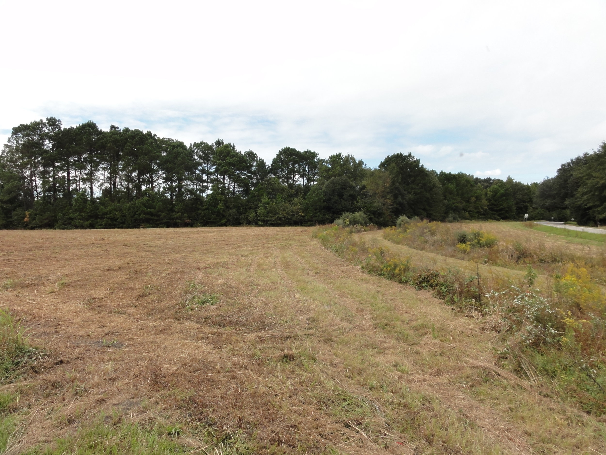 Trailhead Before Construction