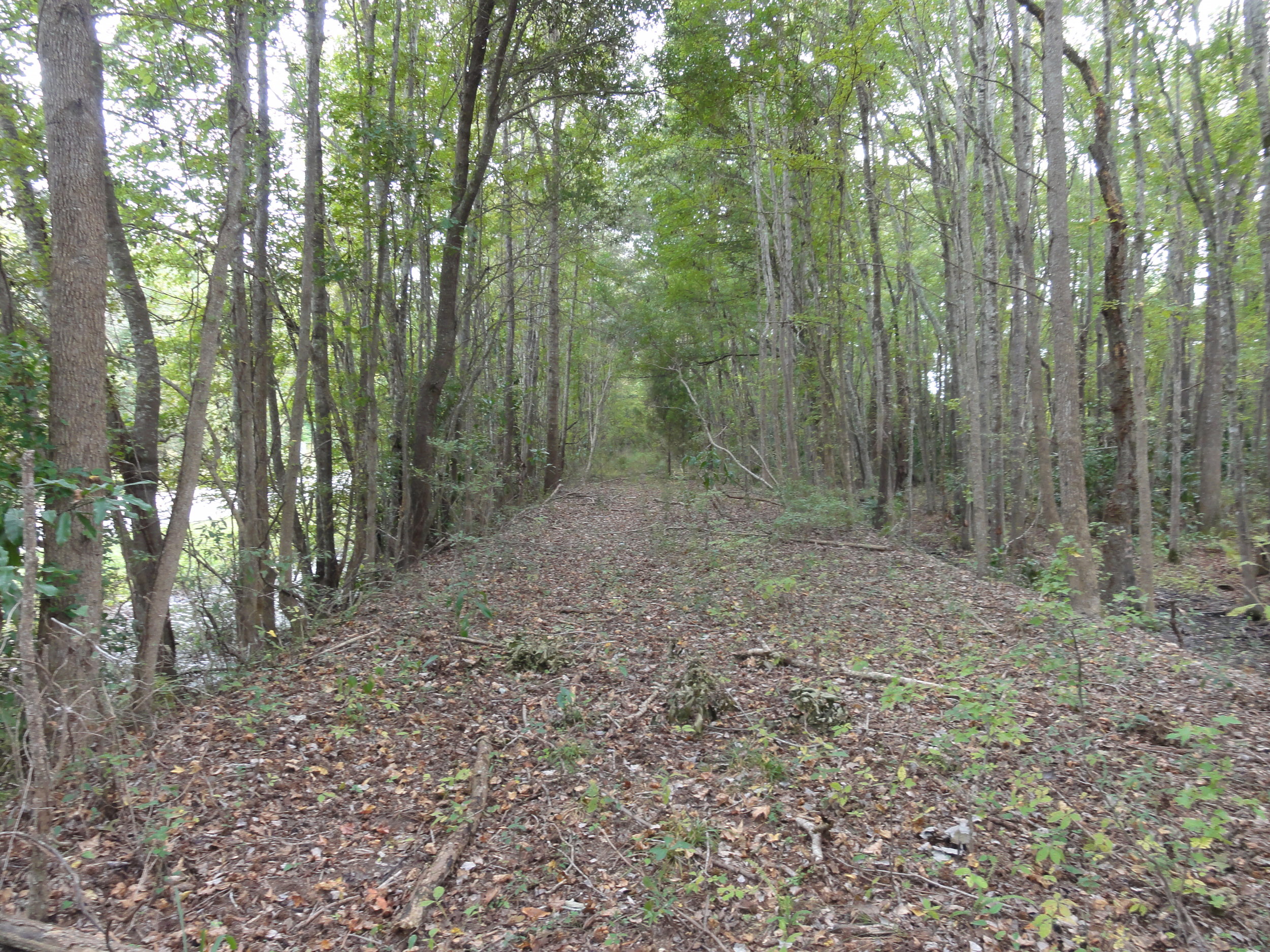 Trail Path Before Construction