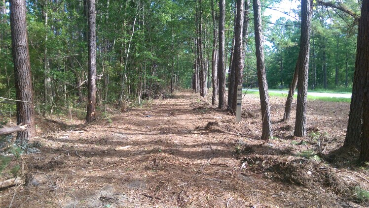 Cleared Trail Path