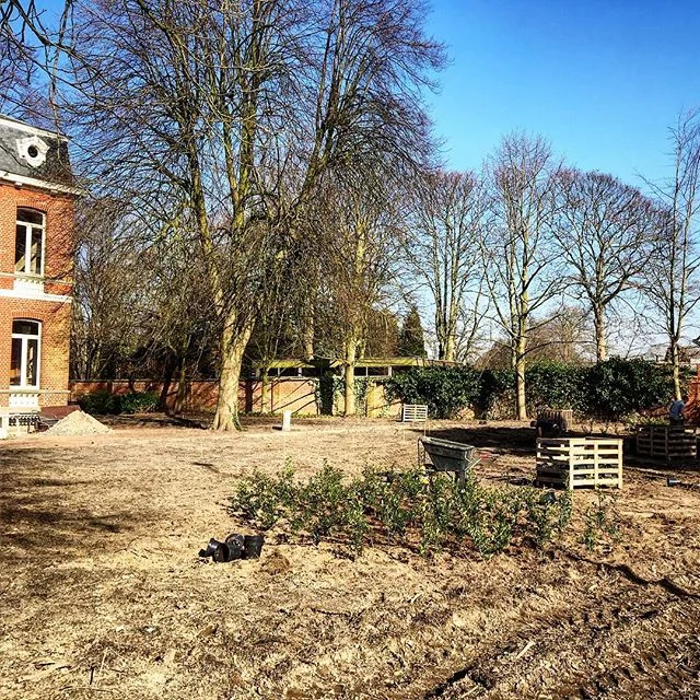 Aanleg van de tuin is begonnen! #tuinendejonghe #denisdujardin