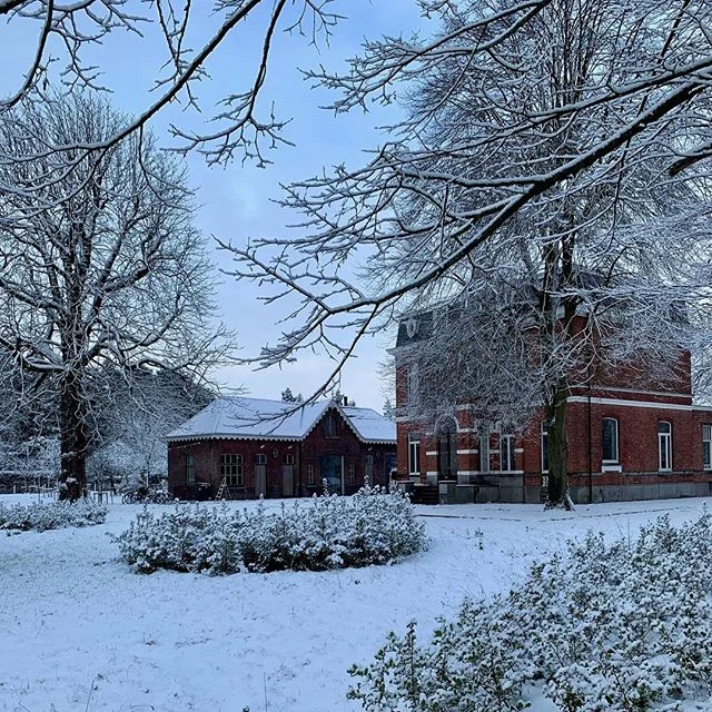 *Winterwonderland*

#bestworkplace #snow #garden #white #wondelgem #9032 #villagroothuis #vergaderruimte #meetingrooms #winter #sneeuwpret #snowyweather #wintergarden