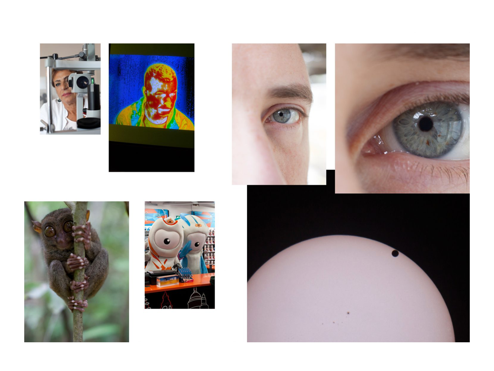 jahresring5.png