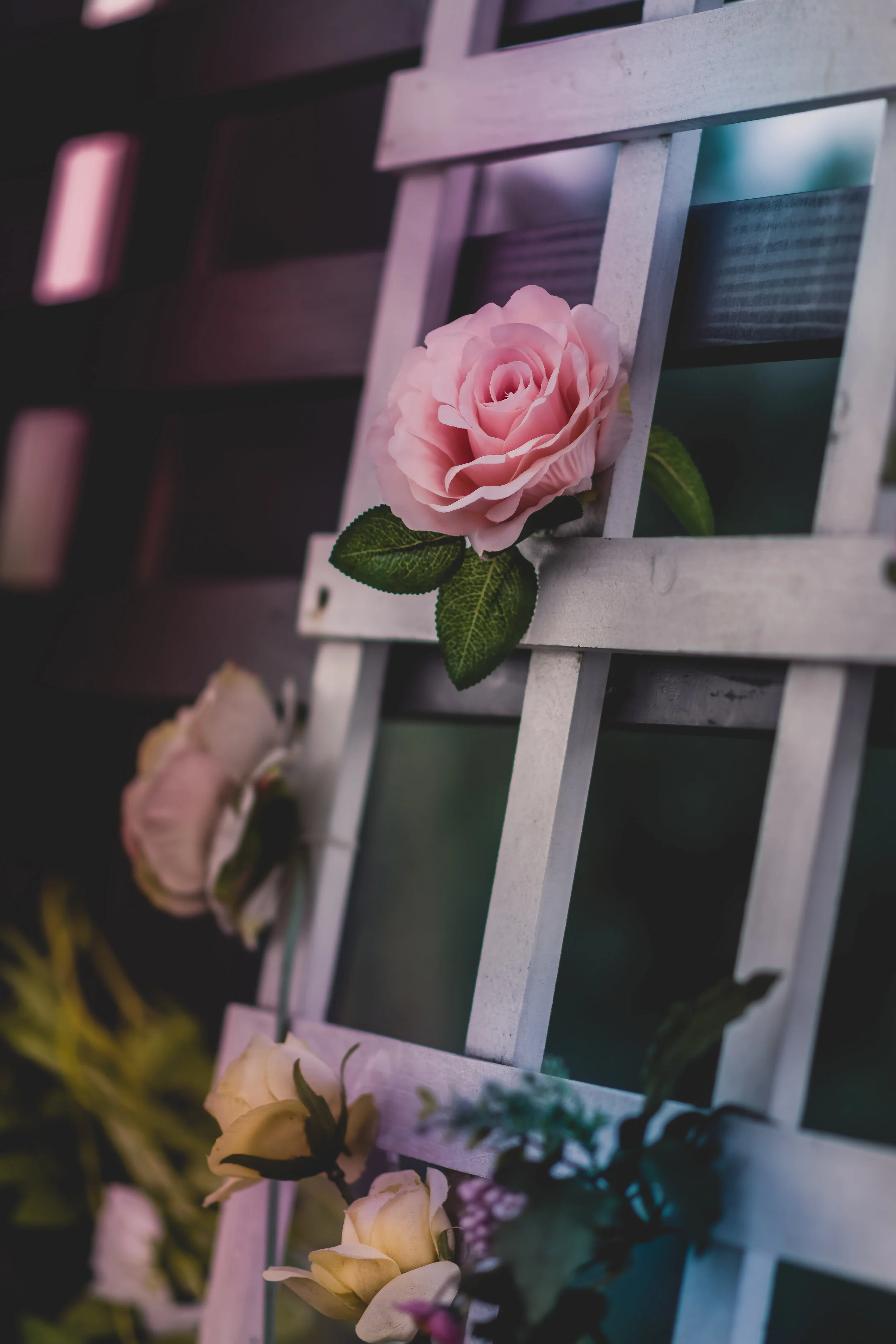 Marriage Preparation Course