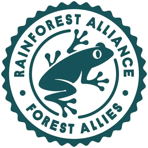 Rainforest logo.webp