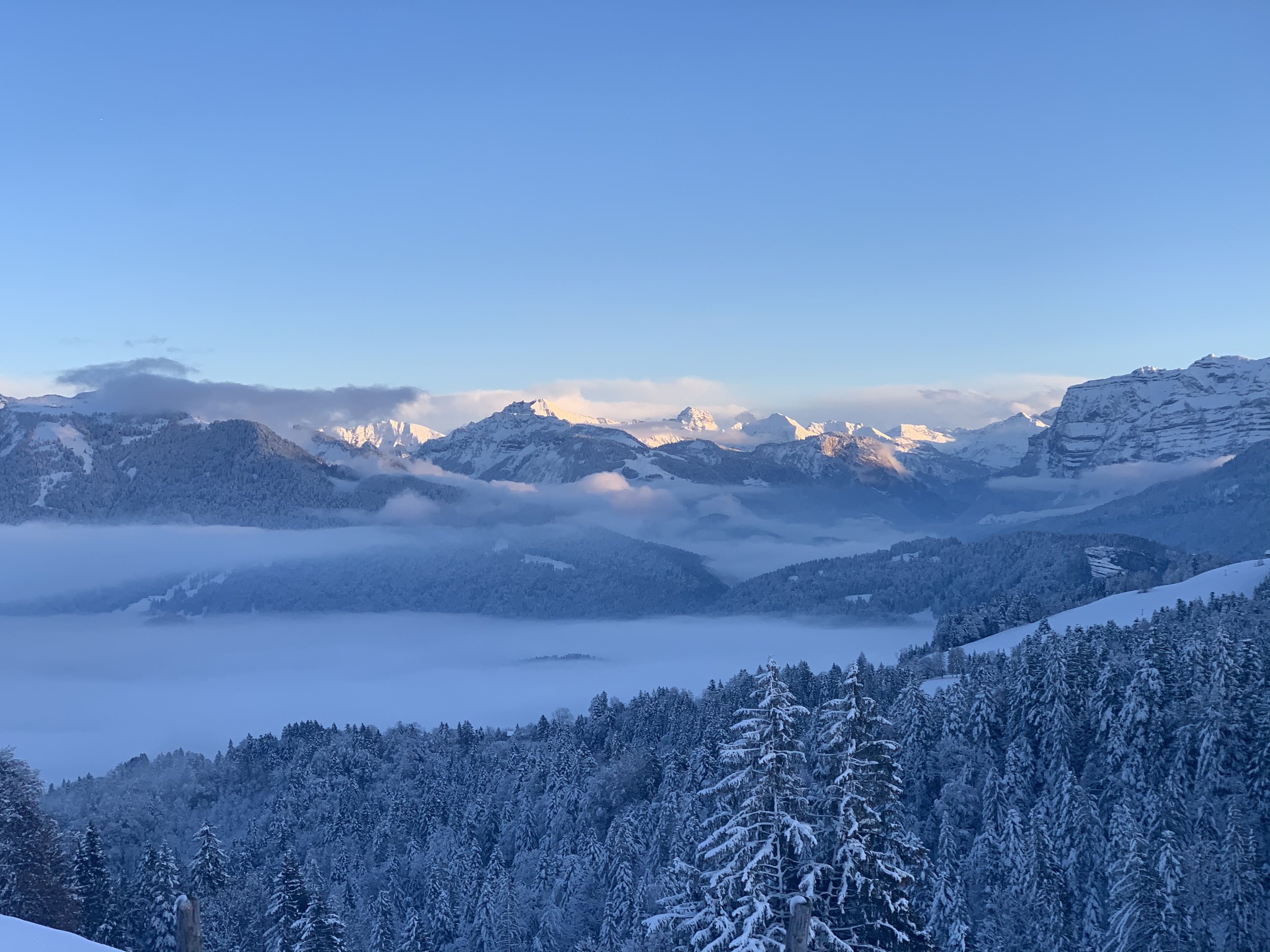 201207 Bödele_5.jpeg