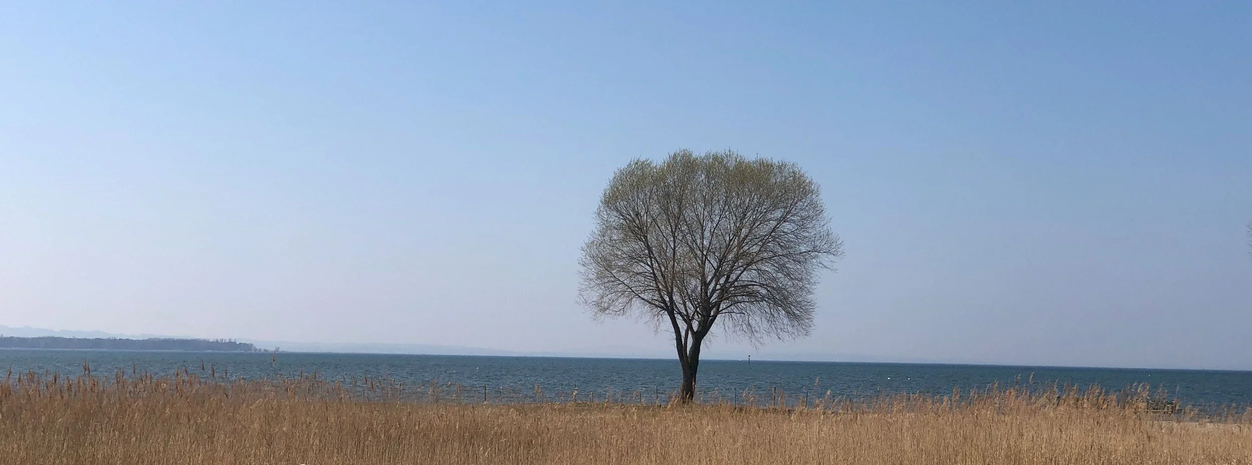 200404 Rohrspirtz_OK.JPG